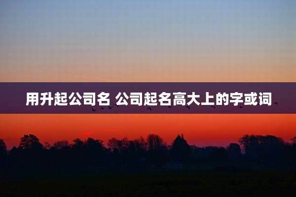 用升起公司名 公司起名高大上的字或词