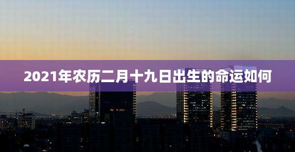 2021年农历二月十九日出生的命运如何