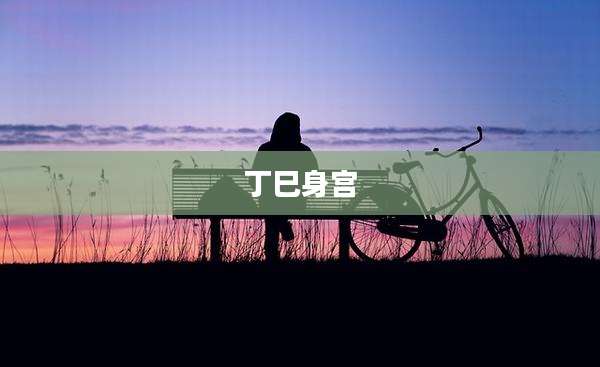 丁巳身宫