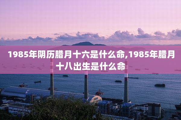 1985年阴历腊月十六是什么命,1985年腊月十八出生是什么命