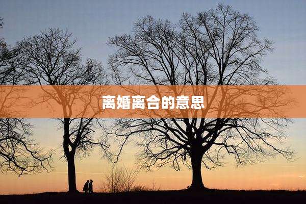 离婚离合的意思