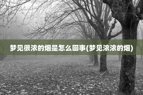 梦见很浓的烟是怎么回事(梦见浓浓的烟)