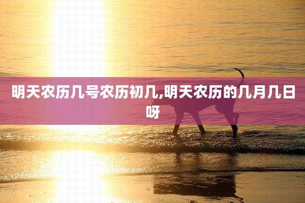 明天农历几号农历初几,明天农历的几月几日呀