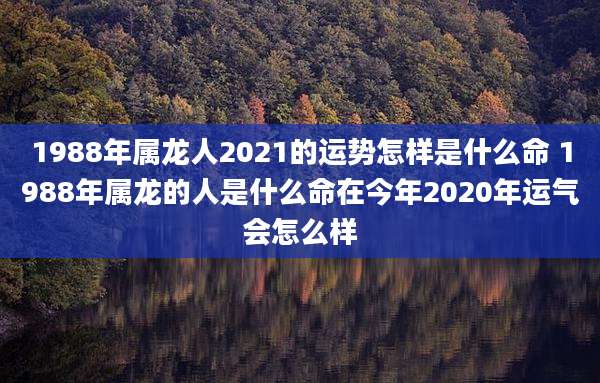 1988年属龙人2021的运势怎样是什么命 1988年属龙的人是什么命在今年2020年运气会怎么样