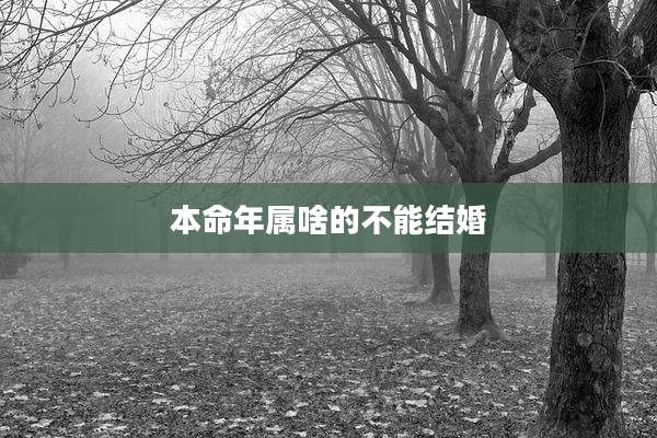 本命年属啥的不能结婚