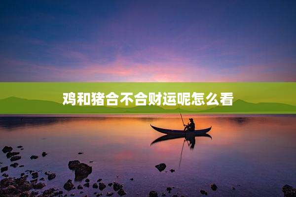 鸡和猪合不合财运呢怎么看