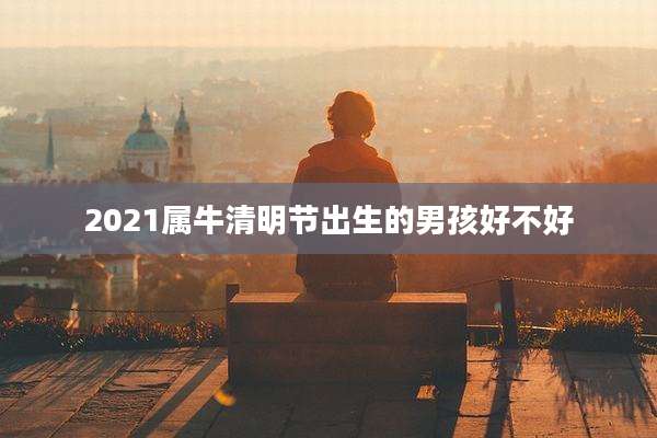 2021属牛清明节出生的男孩好不好