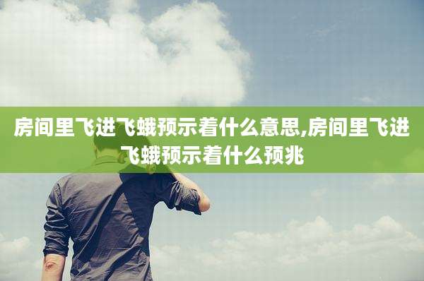 房间里飞进飞蛾预示着什么意思,房间里飞进飞蛾预示着什么预兆
