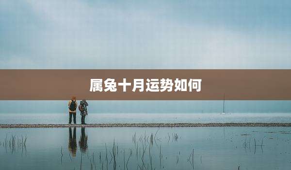 属兔十月运势如何