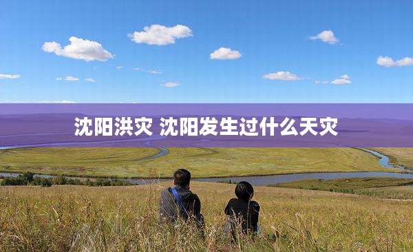 沈阳洪灾 沈阳发生过什么天灾