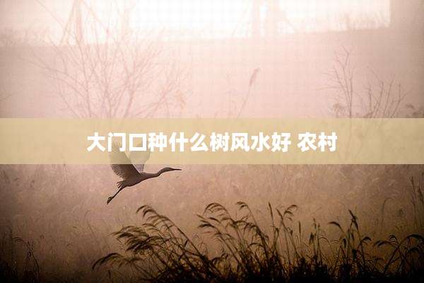 大门口种什么树风水好 农村