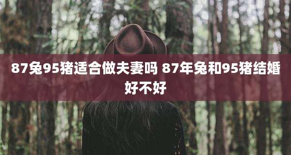 87兔95猪适合做夫妻吗 87年兔和95猪结婚好不好