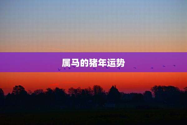 属马的猪年运势