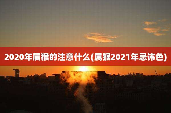 2020年属猴的注意什么(属猴2021年忌讳色)