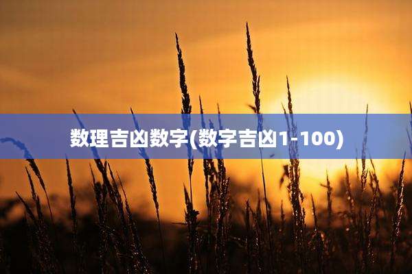 数理吉凶数字(数字吉凶1-100)
