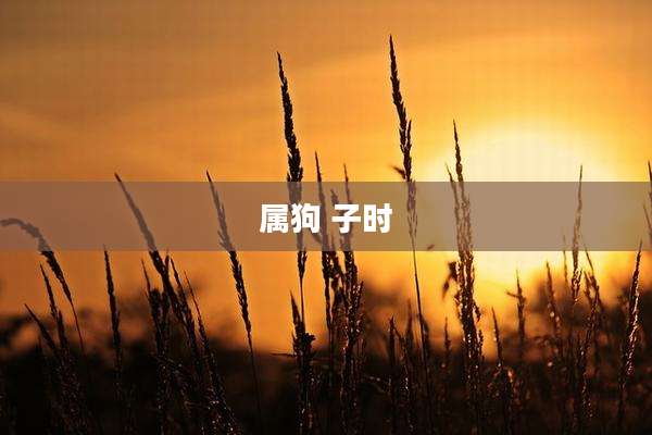 属狗 子时
