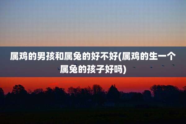 属鸡的男孩和属兔的好不好(属鸡的生一个属兔的孩子好吗)