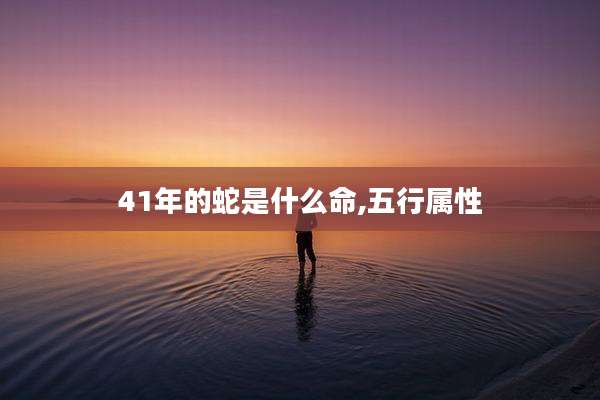 41年的蛇是什么命,五行属性