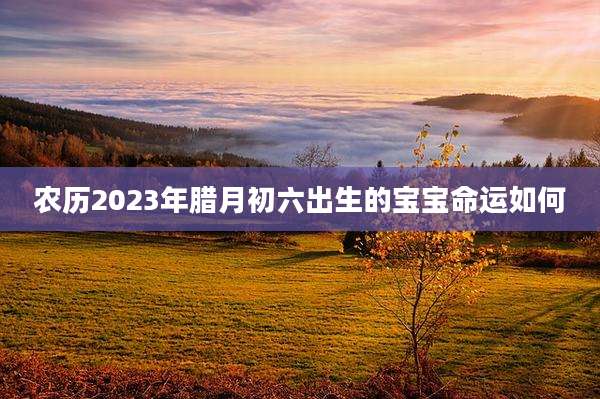 农历2023年腊月初六出生的宝宝命运如何