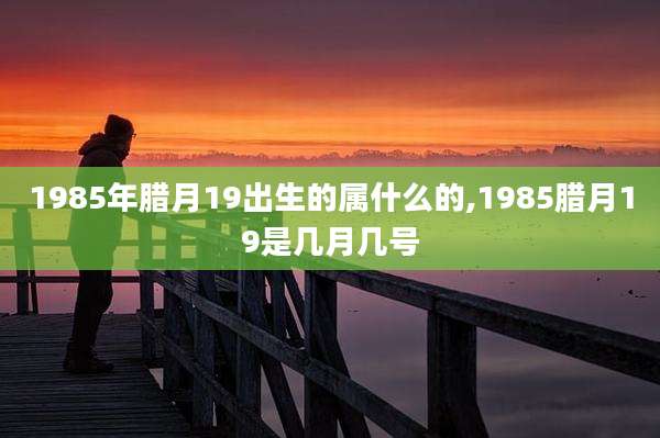 1985年腊月19出生的属什么的,1985腊月19是几月几号