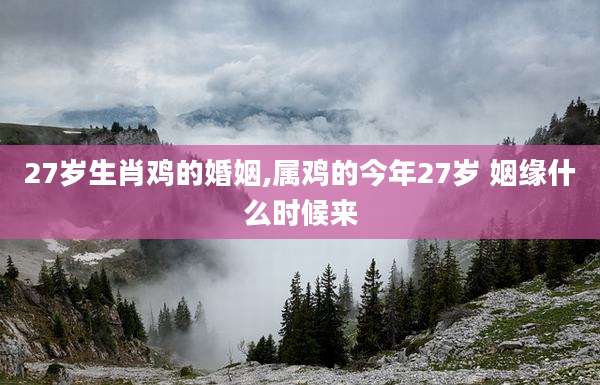 27岁生肖鸡的婚姻,属鸡的今年27岁 姻缘什么时候来