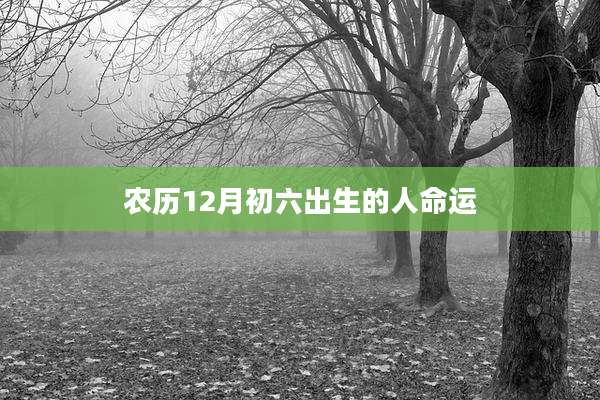农历12月初六出生的人命运