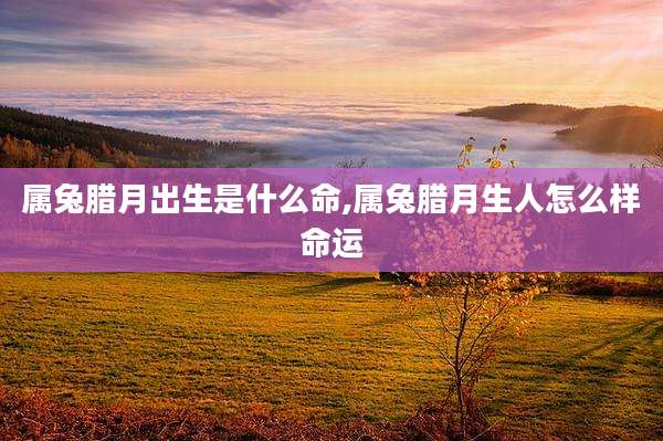 属兔腊月出生是什么命,属兔腊月生人怎么样命运