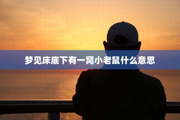 梦见床底下有一窝小老鼠什么意思