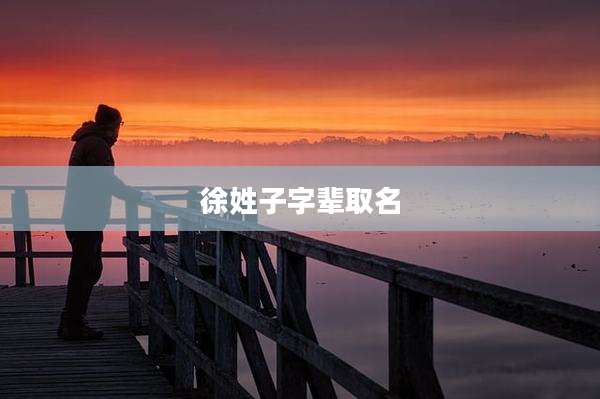 徐姓子字辈取名