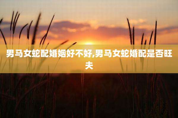 男马女蛇配婚姻好不好,男马女蛇婚配是否旺夫