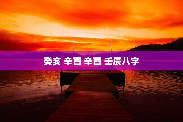 癸亥 辛酉 辛酉 壬辰八字