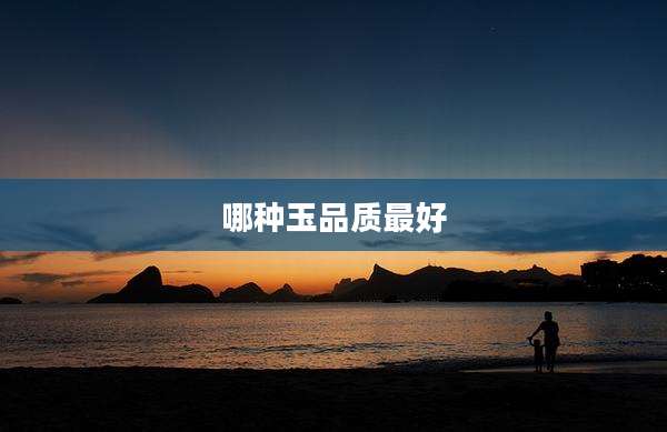 哪种玉品质最好