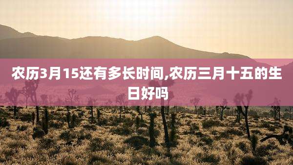 农历3月15还有多长时间,农历三月十五的生日好吗