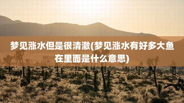 梦见涨水但是很清澈(梦见涨水有好多大鱼在里面是什么意思)