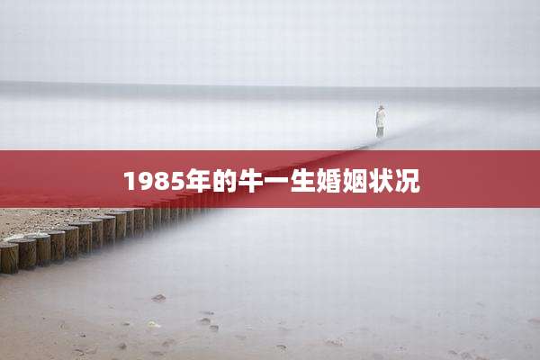 1985年的牛一生婚姻状况