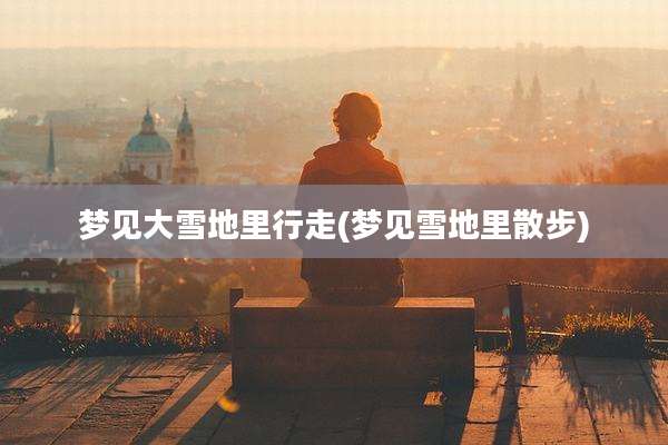 梦见大雪地里行走(梦见雪地里散步)
