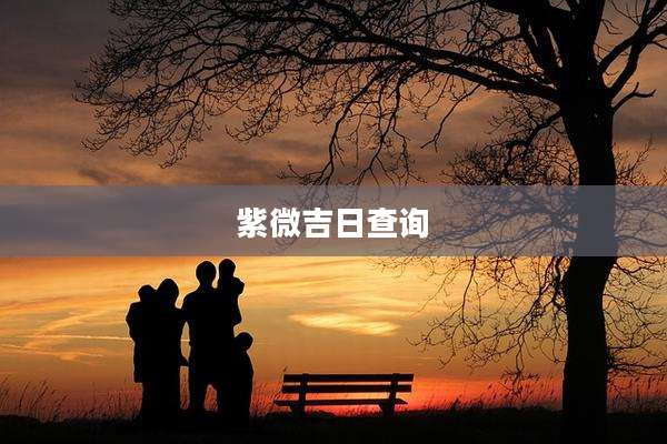 紫微吉日查询