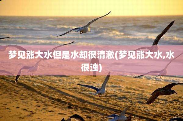 梦见涨大水但是水却很清澈(梦见涨大水,水很浊)