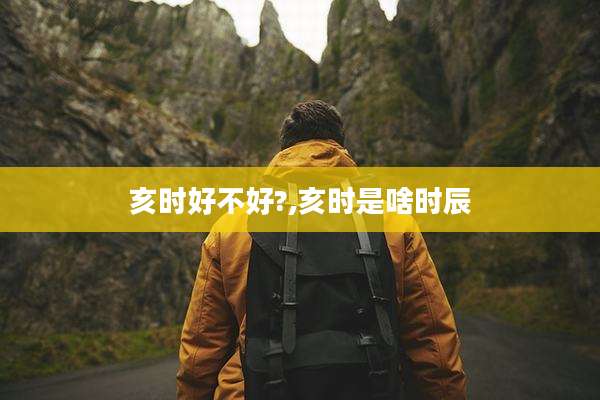 亥时好不好?,亥时是啥时辰