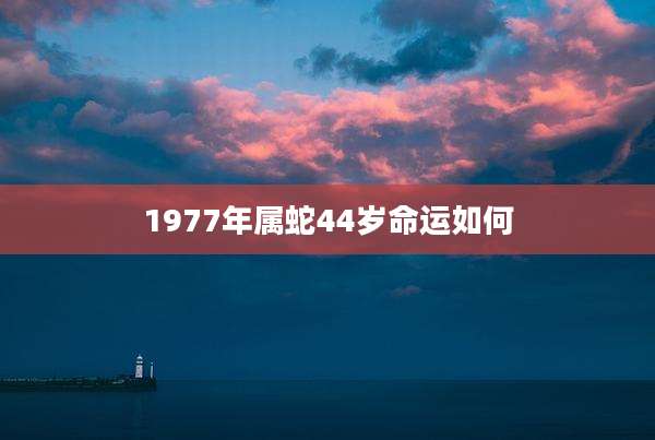 1977年属蛇44岁命运如何