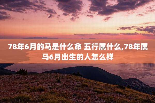 78年6月的马是什么命 五行属什么,78年属马6月出生的人怎么样