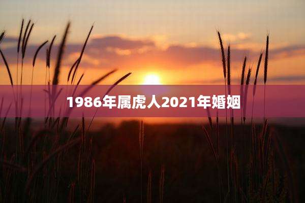 1986年属虎人2021年婚姻