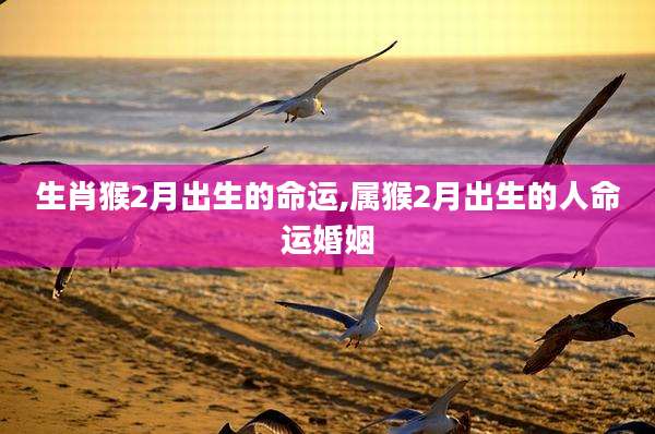 生肖猴2月出生的命运,属猴2月出生的人命运婚姻