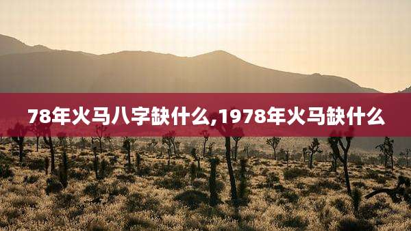 78年火马八字缺什么,1978年火马缺什么