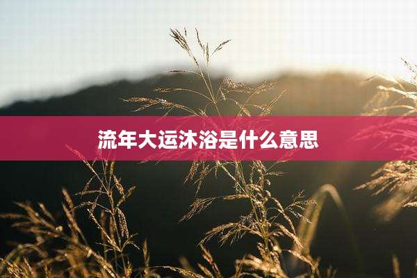 流年大运沐浴是什么意思