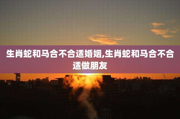 生肖蛇和马合不合适婚姻,生肖蛇和马合不合适做朋友