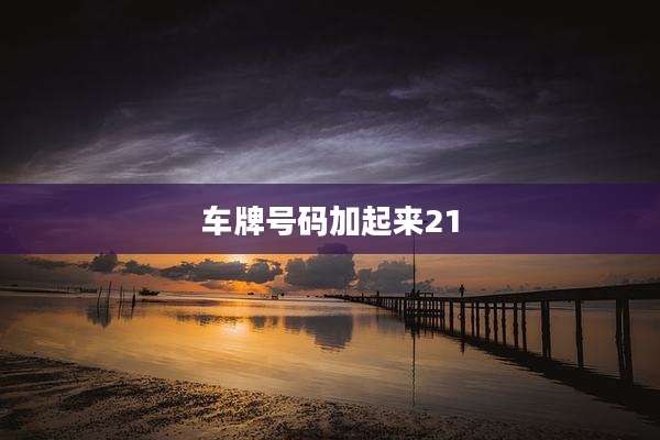车牌号码加起来21