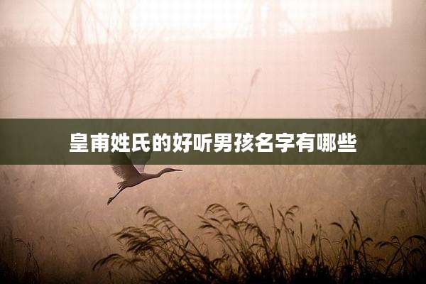 皇甫姓氏的好听男孩名字有哪些