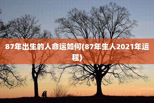 87年出生的人命运如何(87年生人2021年运程)