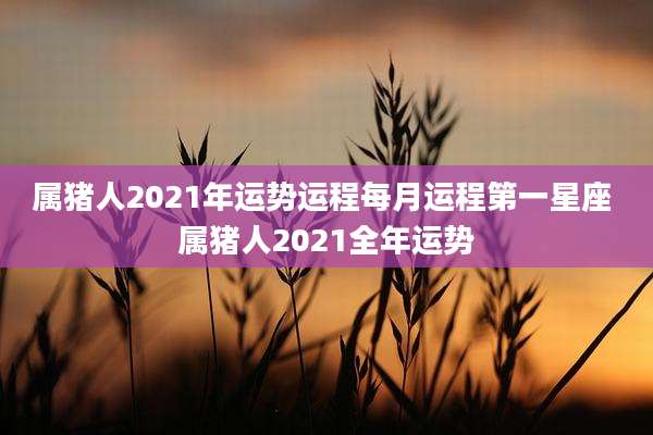 属猪人2021年运势运程每月运程第一星座 属猪人2021全年运势
